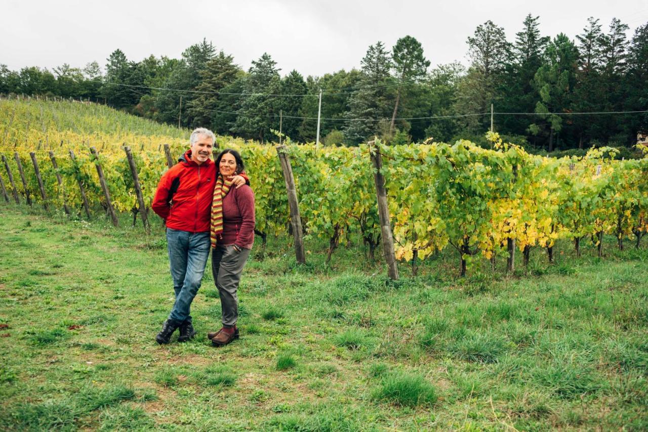 Trevinano Podere Orto Wine Country House المظهر الخارجي الصورة
