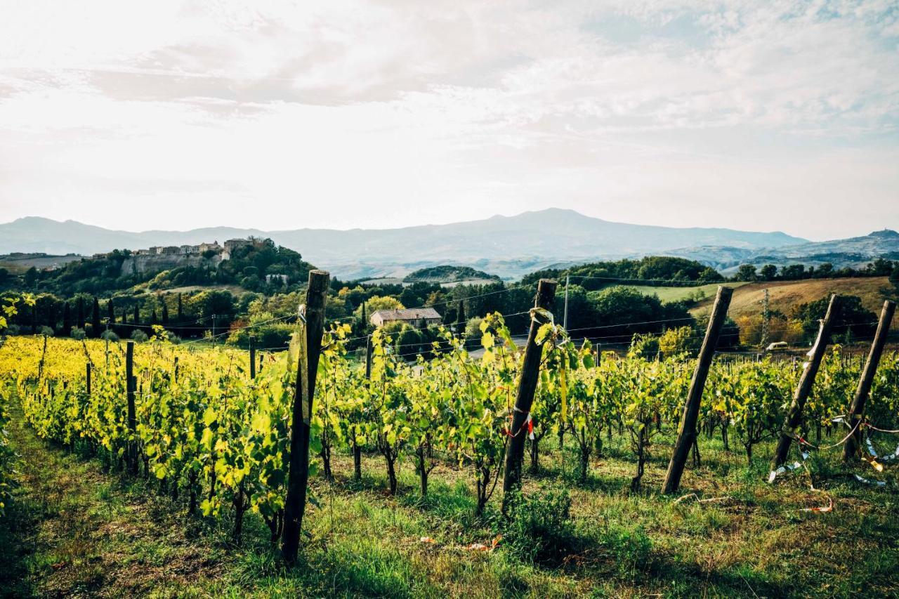 Trevinano Podere Orto Wine Country House المظهر الخارجي الصورة