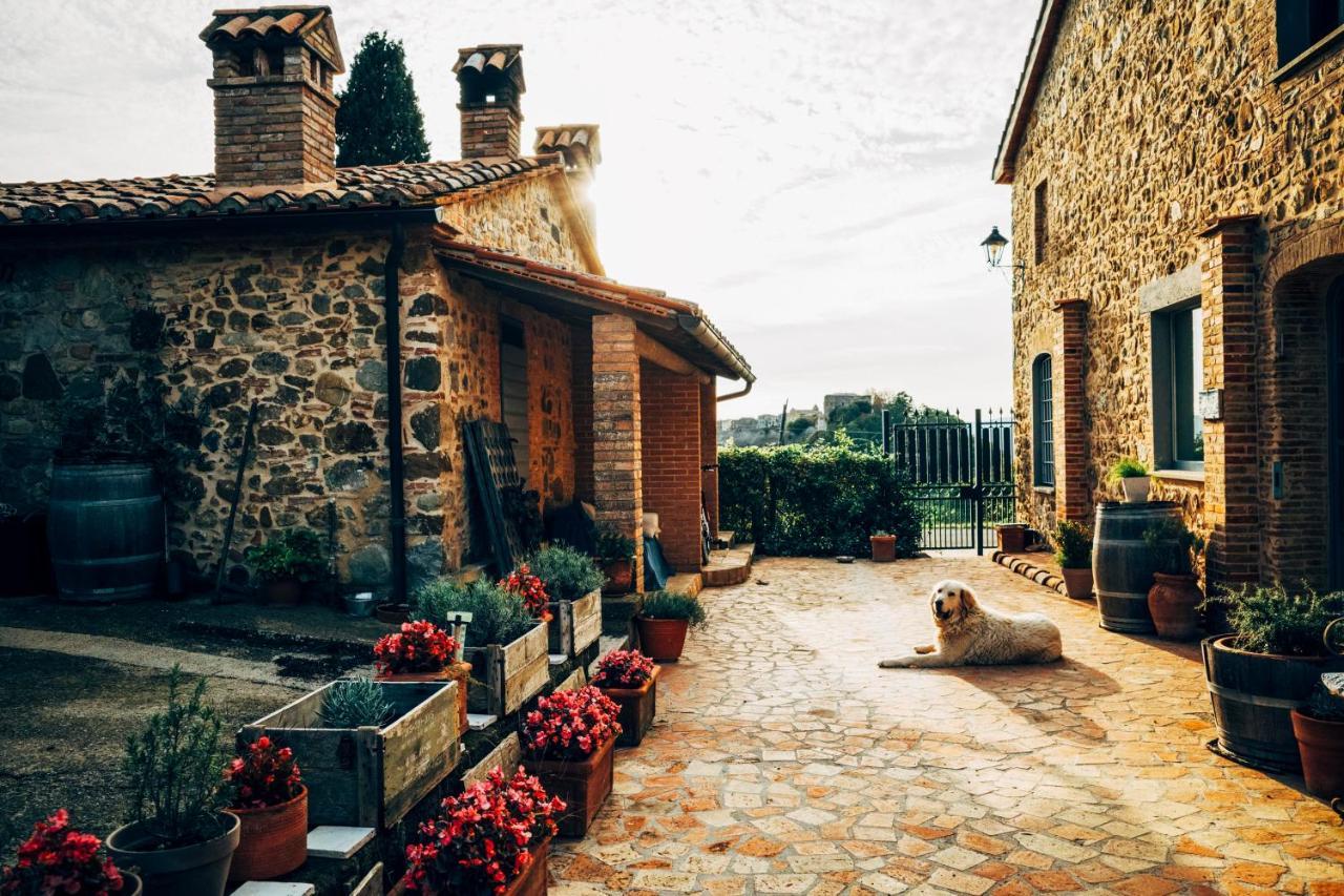 Trevinano Podere Orto Wine Country House المظهر الخارجي الصورة