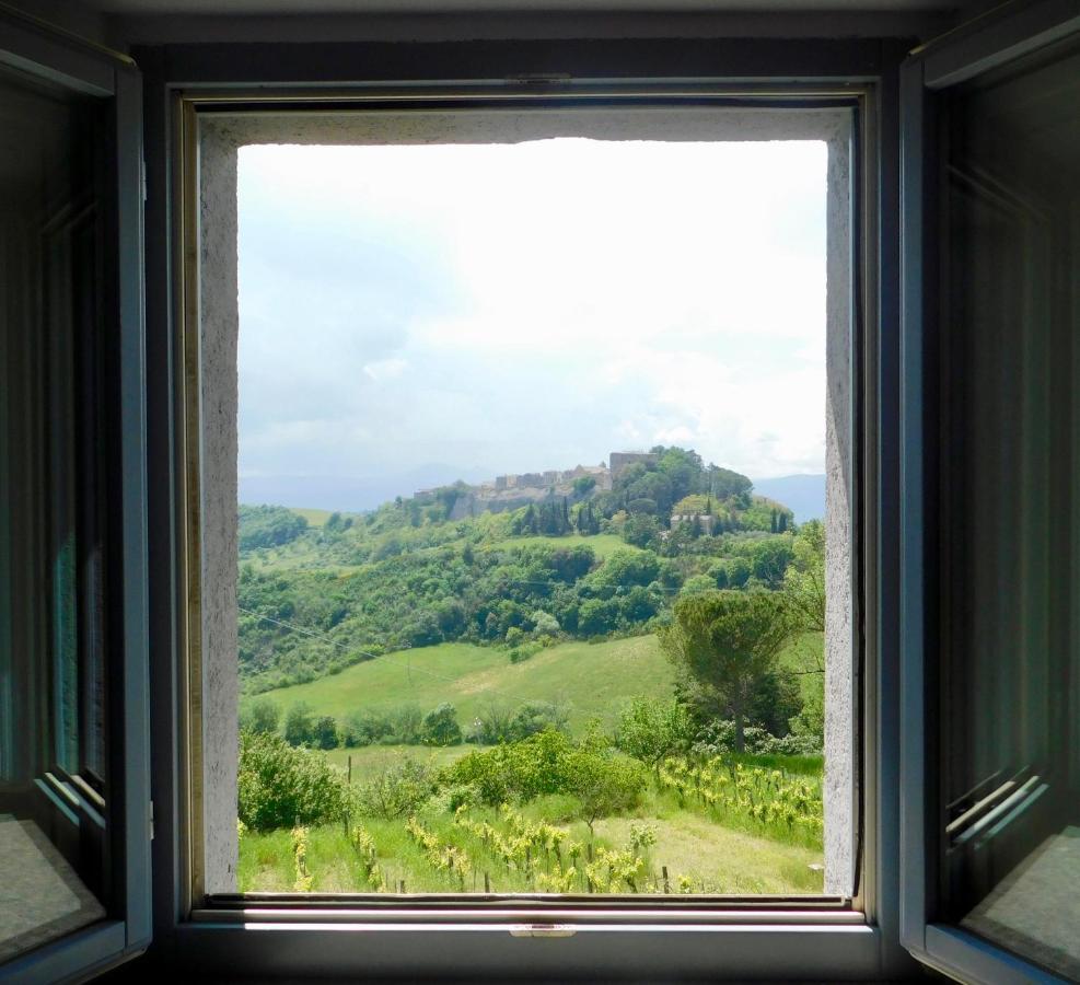 Trevinano Podere Orto Wine Country House المظهر الخارجي الصورة