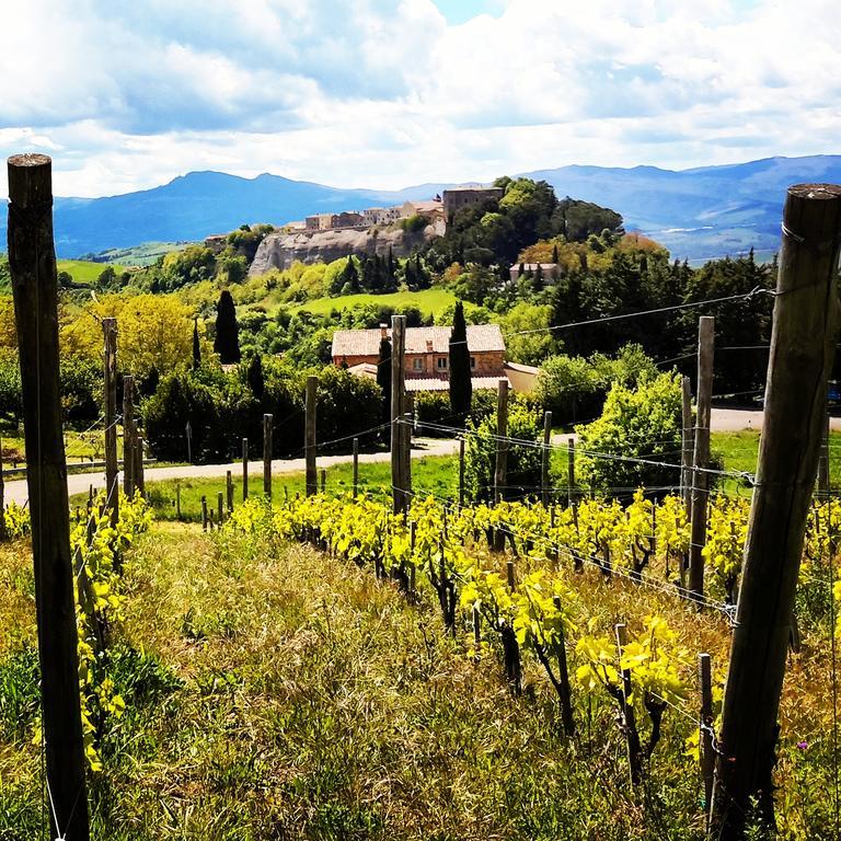 Trevinano Podere Orto Wine Country House المظهر الخارجي الصورة