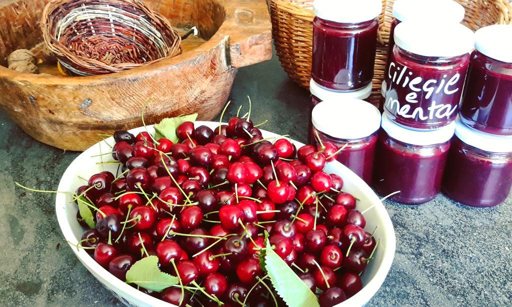 Trevinano Podere Orto Wine Country House المظهر الخارجي الصورة