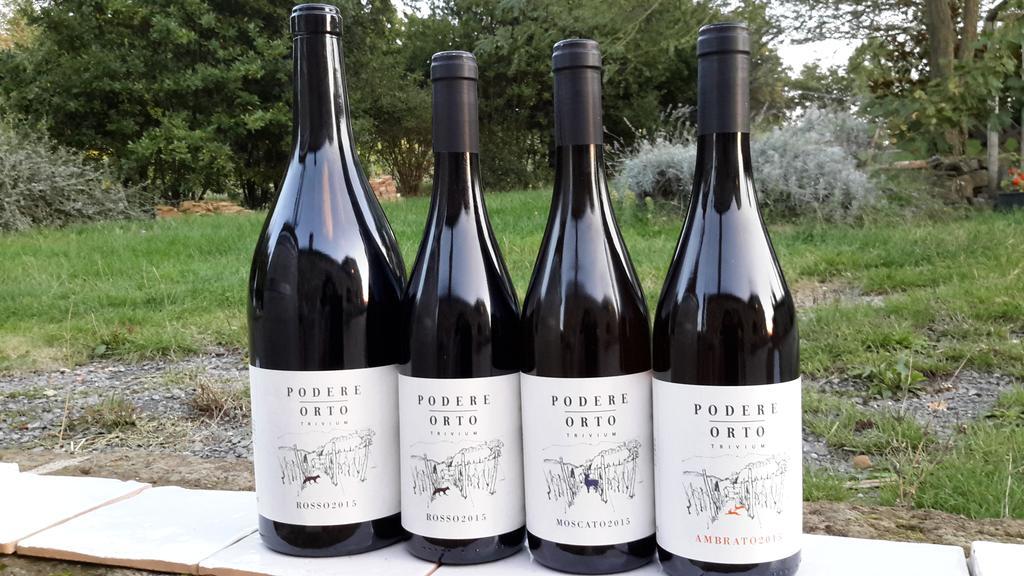 Trevinano Podere Orto Wine Country House المظهر الخارجي الصورة